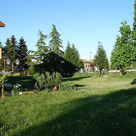 Alicja *